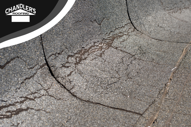 Professional roofers in Palos Verdes check a business roof for damage and wear, making sure quality and safety.