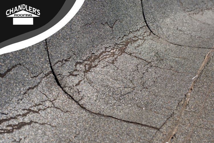 Professional roofers in Palos Verdes check a business roof for damage and wear, making sure quality and safety.