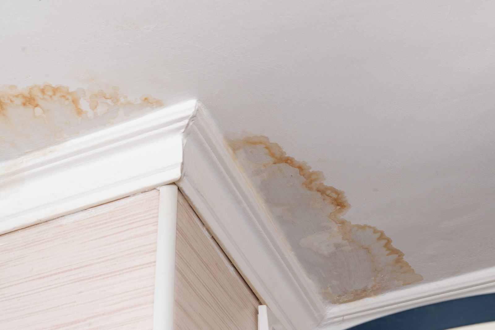 Chandlers Roofing Images